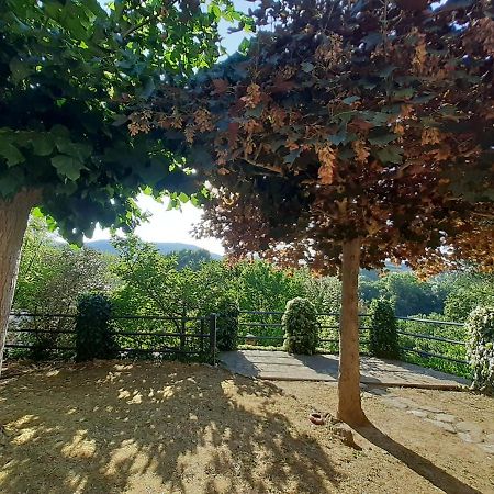Villa Le Palmine Palazzone Екстер'єр фото