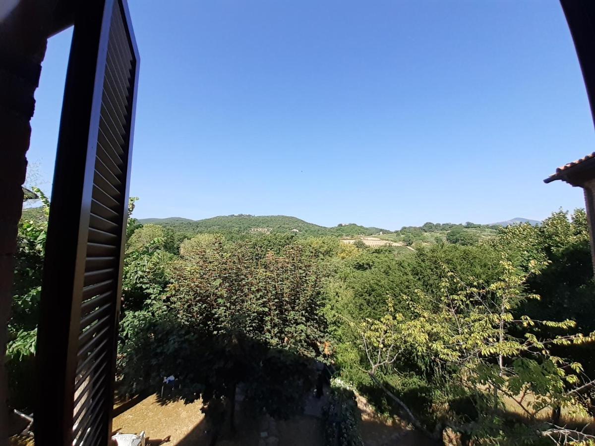 Villa Le Palmine Palazzone Екстер'єр фото