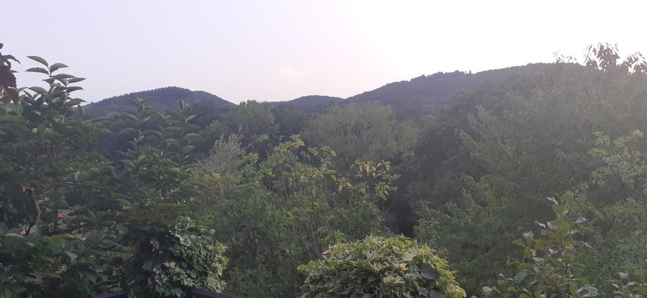 Villa Le Palmine Palazzone Екстер'єр фото