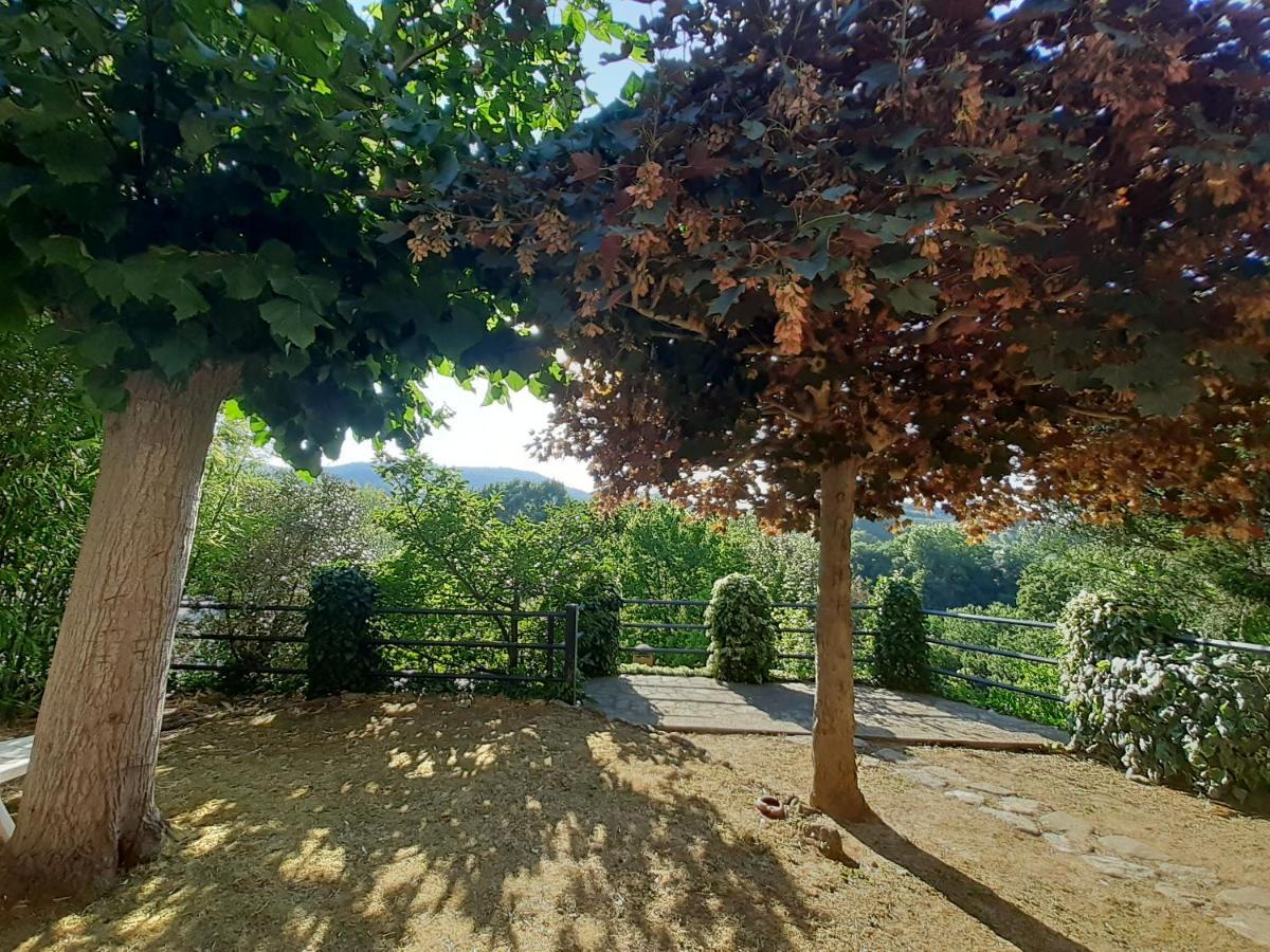 Villa Le Palmine Palazzone Екстер'єр фото