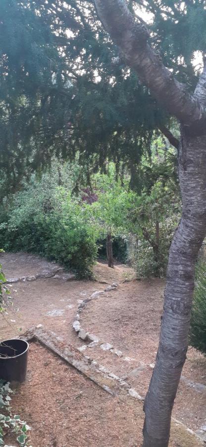 Villa Le Palmine Palazzone Екстер'єр фото